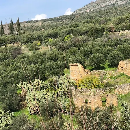 فيلة Graces House